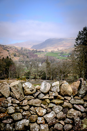 Ghyll force trail, Dalegarth