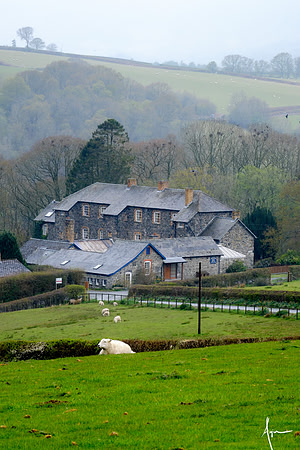 Brynafon country house B&B