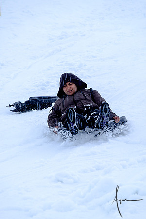 Suchi on the snowboards