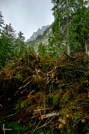 Timber, Oëschinen trail