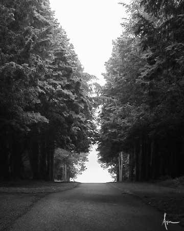 Into the light