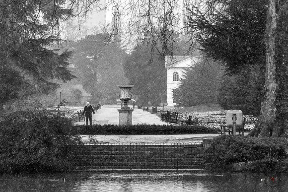 "Old man braves the snow", Kew Gardens, London