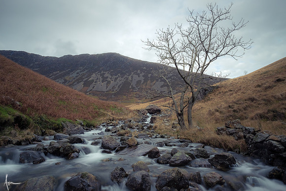 Mynydd Moel and stream along Minffordd path