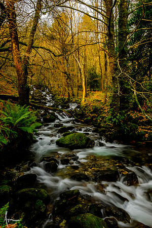 Stream at bottom of Minffordd path
