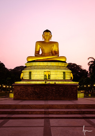 Pink Buddha