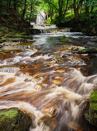 Teesing cascades