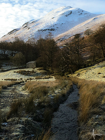 'Barren bounty', Brandelhow, Derwentwater