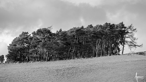 'Wind vanes', Glencorse