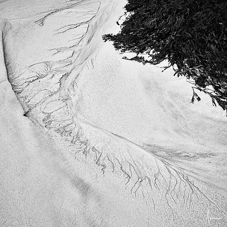 Ardnamurchan impressions IV