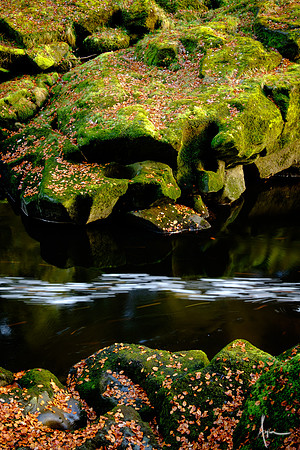 Green velvet, Lower Wharfedale