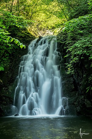 Glenoe falls, County Antrim