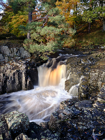 Low force subsidiary fall
