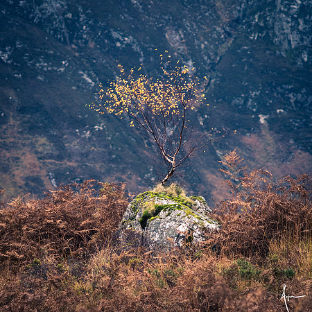 Arran squared, study I