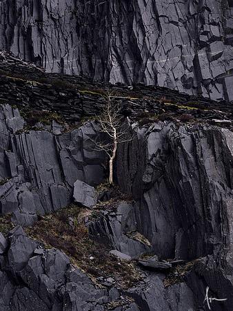 Where life and slate reside, Dinorwic