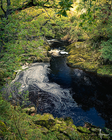 Ingleton falls trail