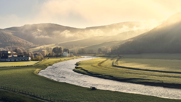 Tweedbank morn