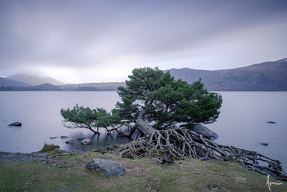 'Bow', Brandelhow