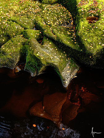 Russet and moss, Lower Wharfedale