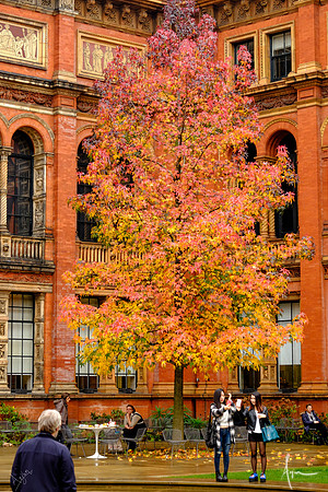 Incredulity, V&A museum, London