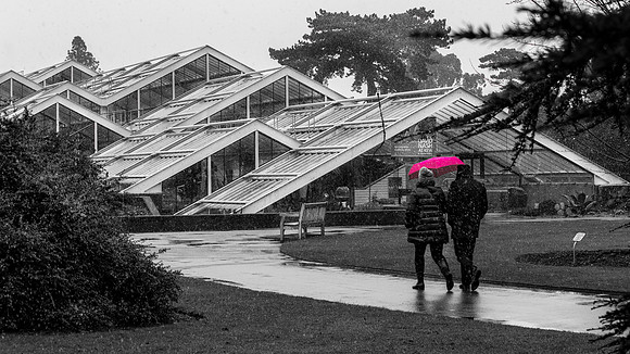 Kew Gardens (colour pop)