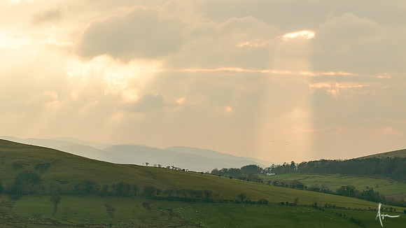 'Serendipity', Northern Fells, Lake District