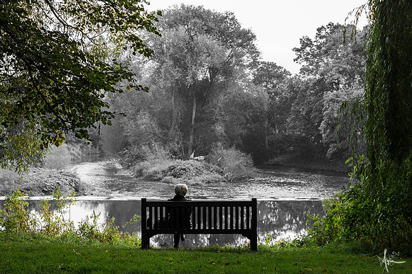 Grey outlook