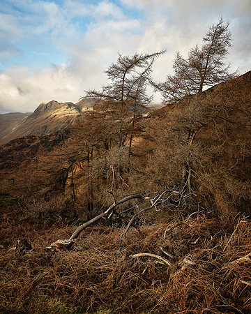 After Arwen, Langdale